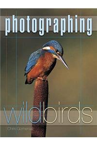 Photographing Wild Birds
