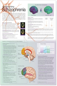 Understanding Schizophrenia Anatomical Chart