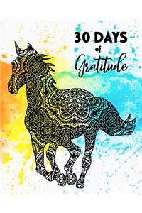 30 Days of Gratitude