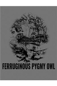 Ferruginous Pygmy Owl