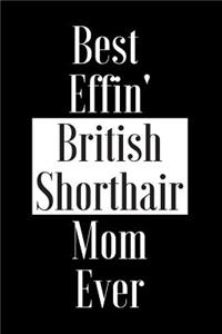 Best Effin British Shorthair Mom Ever