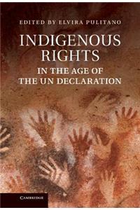 Indigenous Rights in the Age of the Un Declaration. Edited by Elvira Pulitano