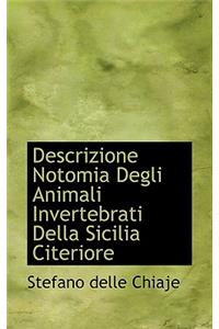 Descrizione Notomia Degli Animali Invertebrati Della Sicilia Citeriore