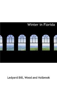 Winter in Florida