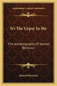 It's the Gypsy in Me