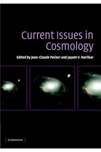 Current Issues in Cosmology