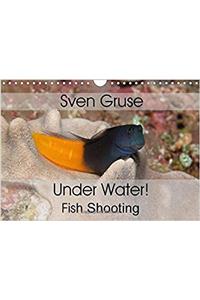 Sven Gruse Under Water! Fish Shooting 2017