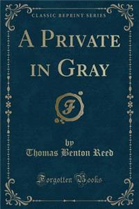 A Private in Gray (Classic Reprint)