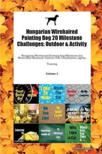 Hungarian Wirehaired Pointing Dog 20 Milestone Challenges