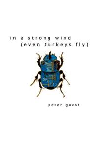 In a Strong Wind (Even Turkeys Fly)