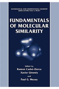 Fundamentals of Molecular Similarity