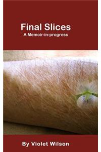 Final Slices: A Memoir-in-progress