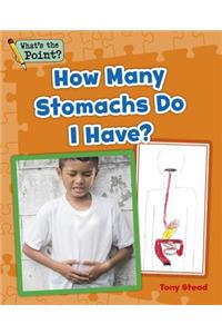 How Many Stomachs Do I Have?