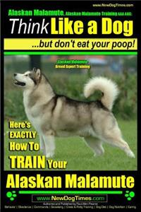 Alaskan Malamute, Alaskan Malamute Training AAA AKC