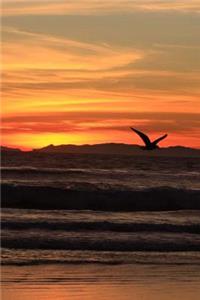 Mind Blowing Seagull Sun Set Jounals