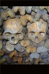 A Pair of Skulls in the Paris Catacombs Journal
