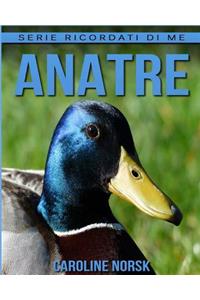 Anatre