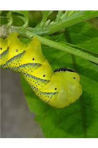Caterpillar Notebook With 150 Lined Pages