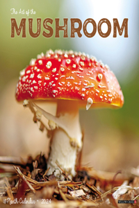 Mushroom (the Art of The) 2024 12 X 12 Wall Calendar
