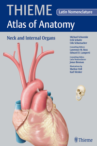 Neck and Internal Organs: Latin Nomenclature