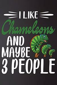 I like Chameleons and Maybe 3 People