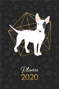 Planer 2020