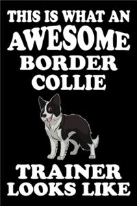 This is what an awesome Border Collie Trainer Looks Like