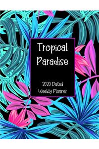 Tropical Paradise