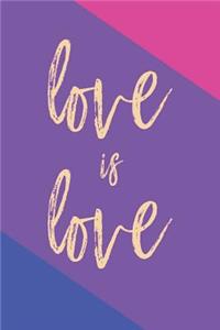 Bi Pride Notebook