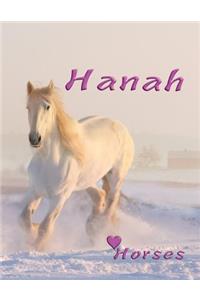 Horses Hanah