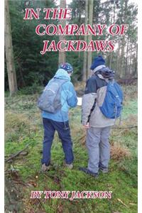 In the Company of Jackdaws