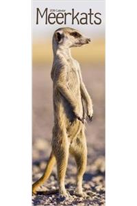 Meerkats Slim Calendar 2018