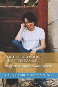 Youth Perceptions about the Family
