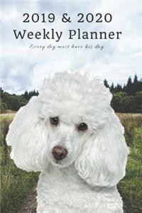 2019 & 2020 Weekly Planner Every Dog Must Have His Day.