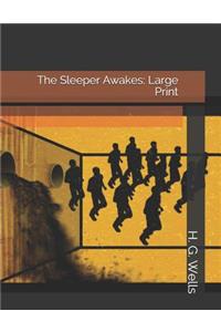 The Sleeper Awakes: Large Print