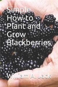 Simple How-To Plant and Grow Blackberries