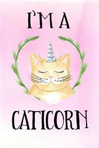 I'm A Caticorn