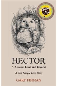 Hector At Ground Level and Beyond