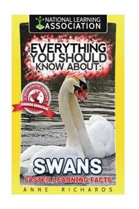 Everything You Should Know About