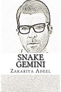 Snake Gemini