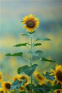 Sunflower Notebook