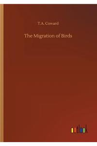 Migration of Birds