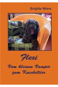 Flexi - Vom kleinen Vampir zum Kuscheltier