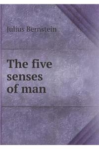 The five senses of man