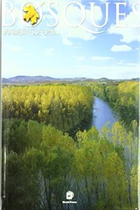 Bosques monumentales de Espana