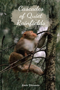 Cascades of Quiet Rainfields