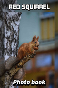 Red Squirrel Photo Book