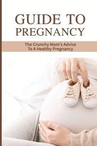 Guide To Pregnancy