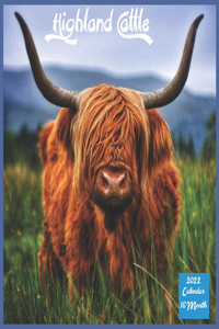 Highland Cattle 2022 Calendar