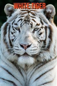 White Tiger